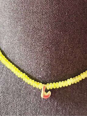 Brand new Anthropologie necklace
